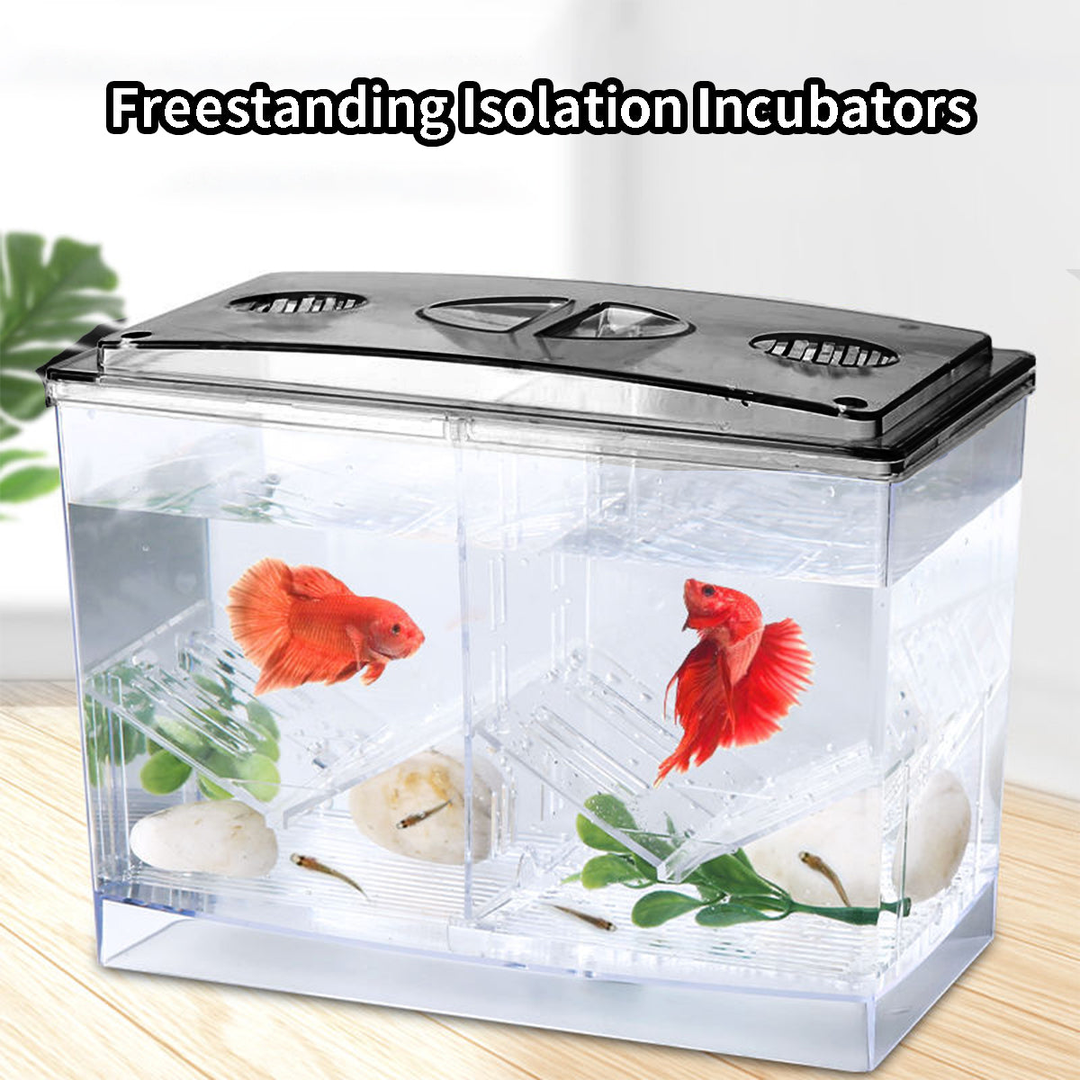 Aquarium Breeding Box For Guppy Fish,Acrylic Multifunctional Tropical Fish Tank,Isolation Fish Tank For Betta,Desk Fish Tank