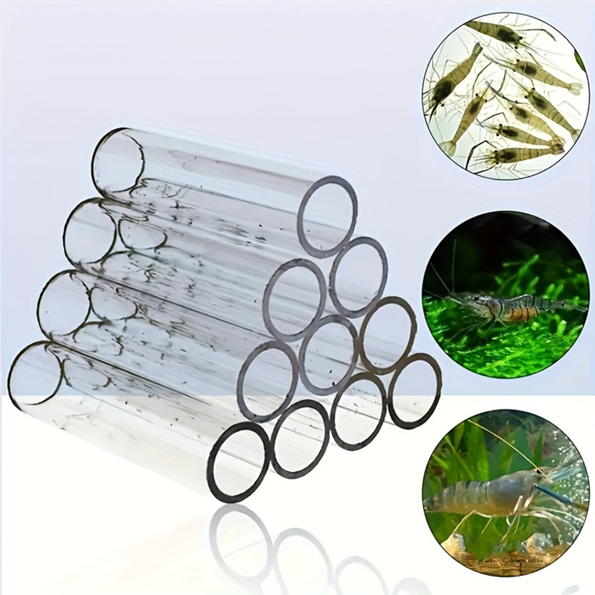 Aquatic Crystal Shrimp Hideaway - Acrylic Breeding Nest for Fish & Shrimp