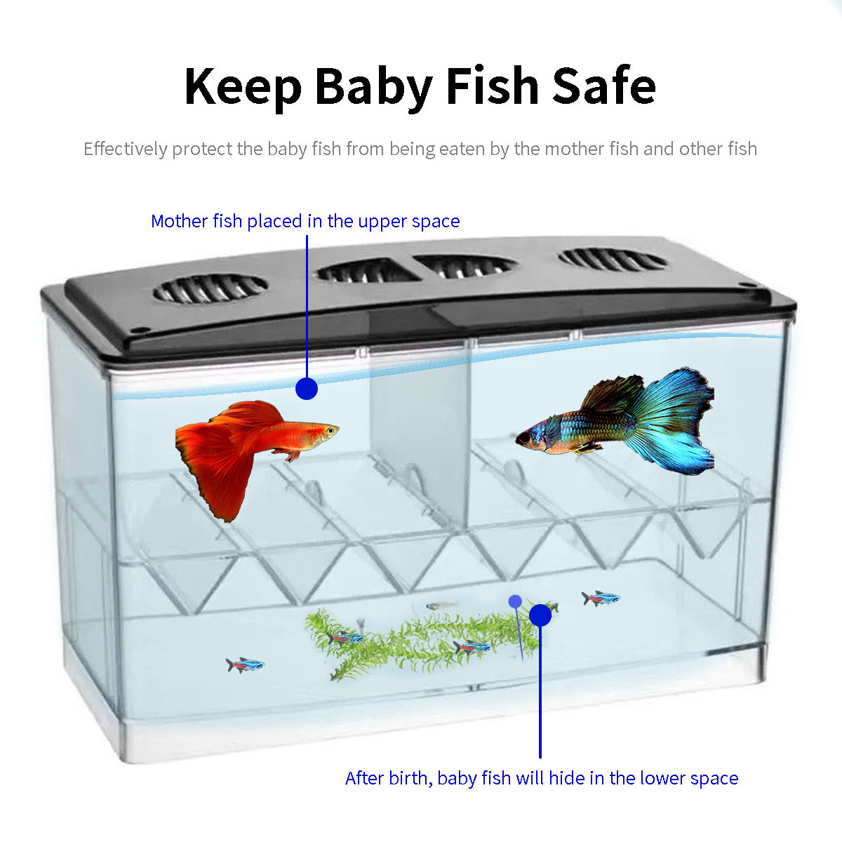 Aquarium Breeding Box For Guppy Fish,Acrylic Multifunctional Tropical Fish Tank,Isolation Fish Tank For Betta,Desk Fish Tank