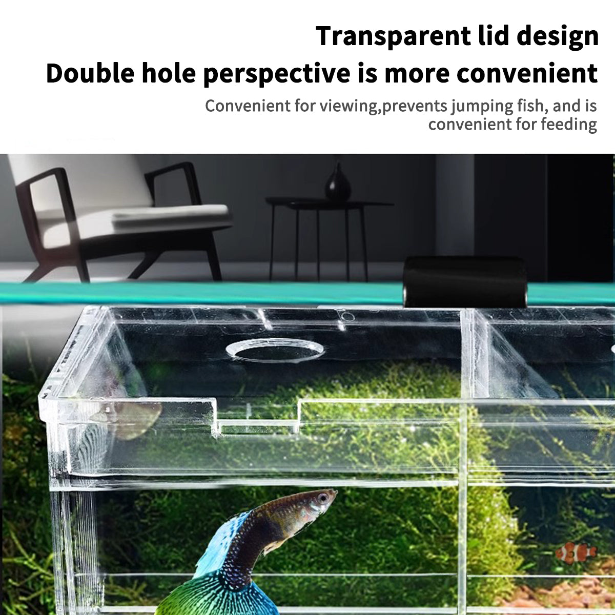 Fish Breeder Box for Fish Tank, Plastic Aquarium Breeder for Fry Fish, Guppy