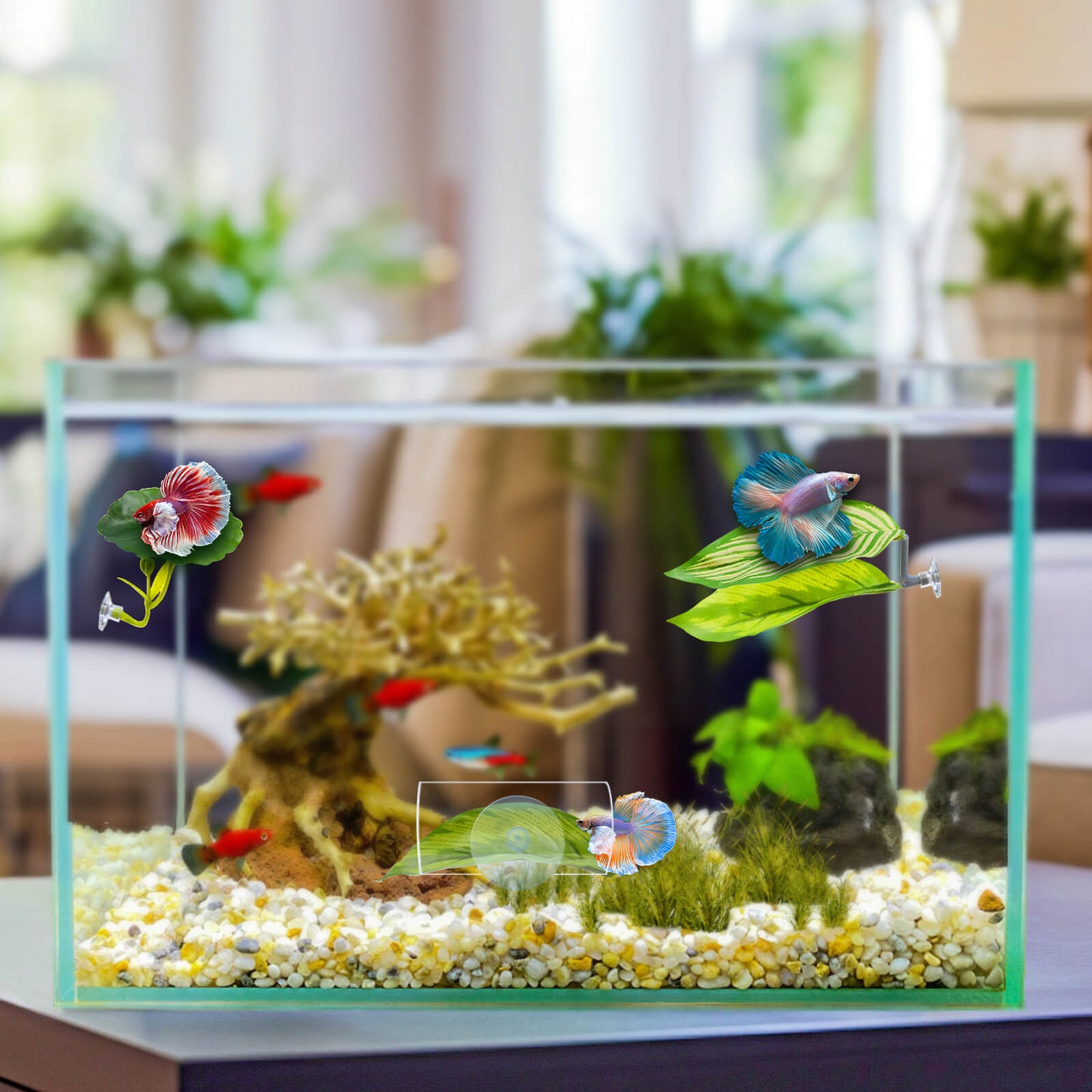 5PCS Betta Hammock & Fish Toys Set, Soft Aquarium Decor Plastic Plants that Won’t Damage Fishtail, Acrylic Tube Tunnel for Betta Fish Tank Decorations, Aquarium Hideout with Spare Suction Cups