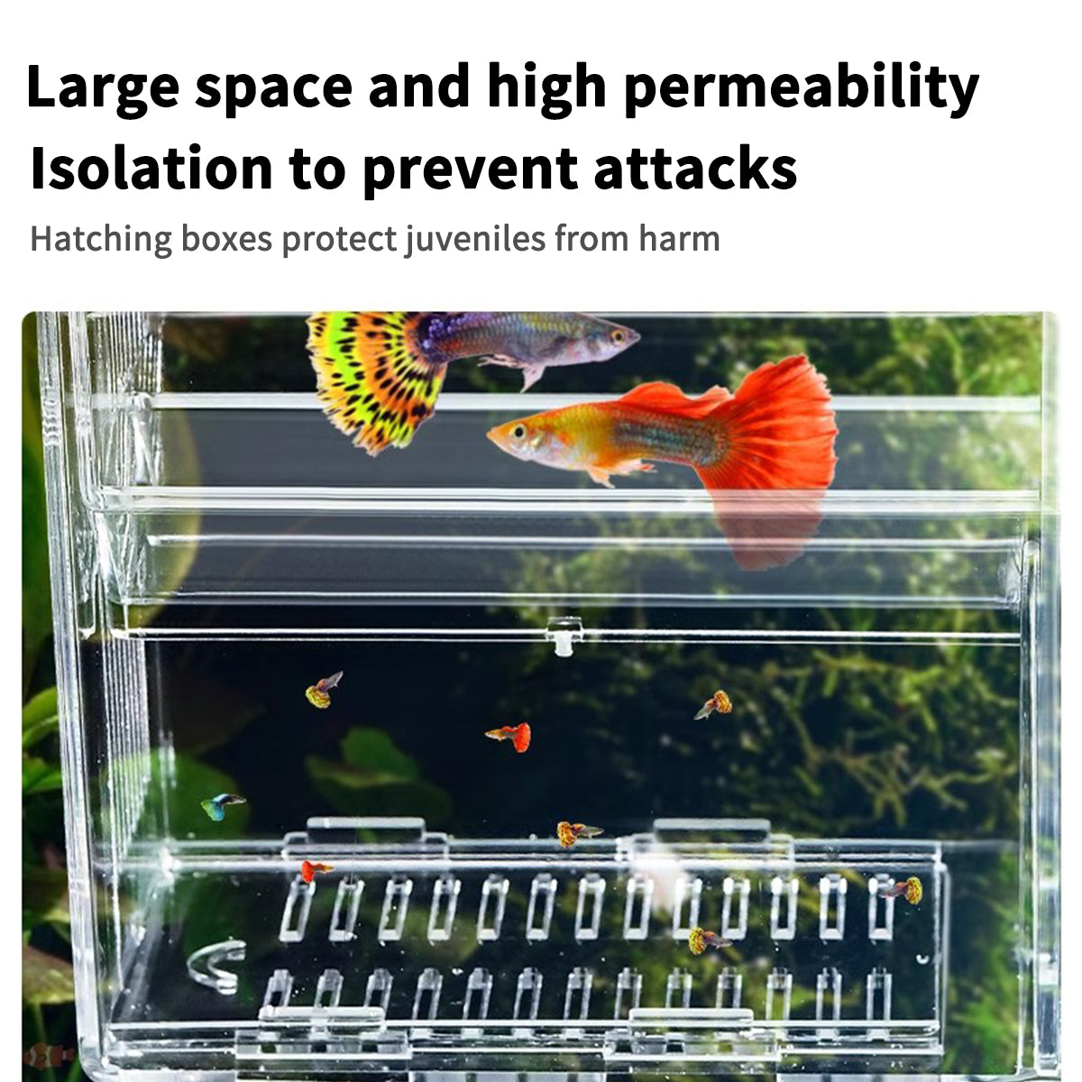 Fish Breeder Box for Fish Tank, Plastic Aquarium Breeder for Fry Fish, Guppy