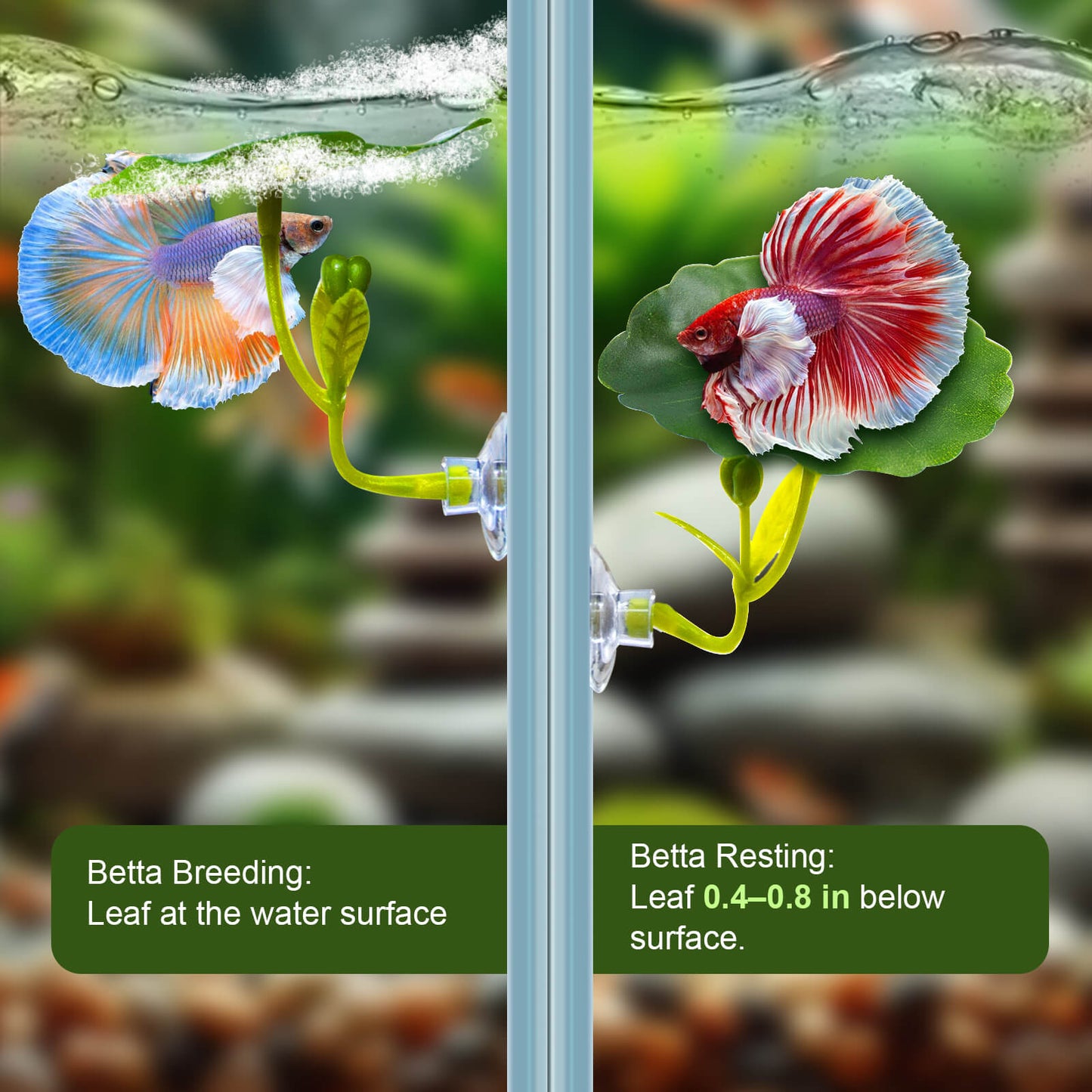 5PCS Betta Hammock & Fish Toys Set, Soft Aquarium Decor Plastic Plants that Won’t Damage Fishtail, Acrylic Tube Tunnel for Betta Fish Tank Decorations, Aquarium Hideout with Spare Suction Cups