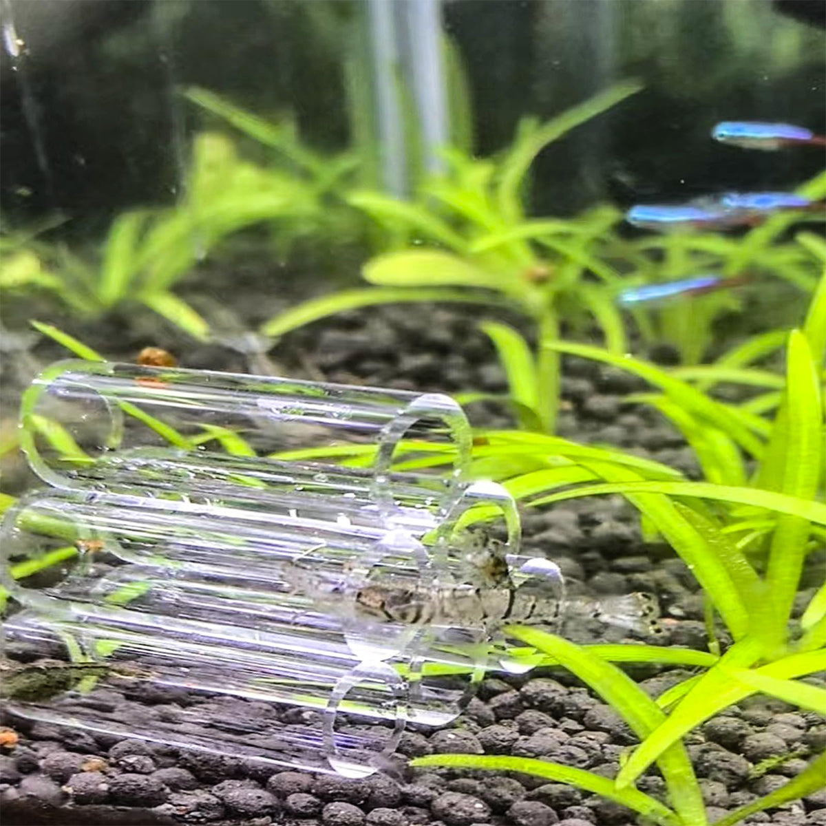 Aquatic Crystal Shrimp Hideaway - Acrylic Breeding Nest for Fish & Shrimp