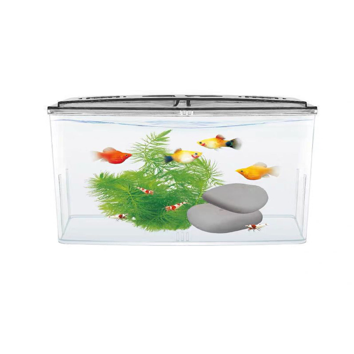 Aquarium Breeding Box For Guppy Fish,Acrylic Multifunctional Tropical Fish Tank,Isolation Fish Tank For Betta,Desk Fish Tank