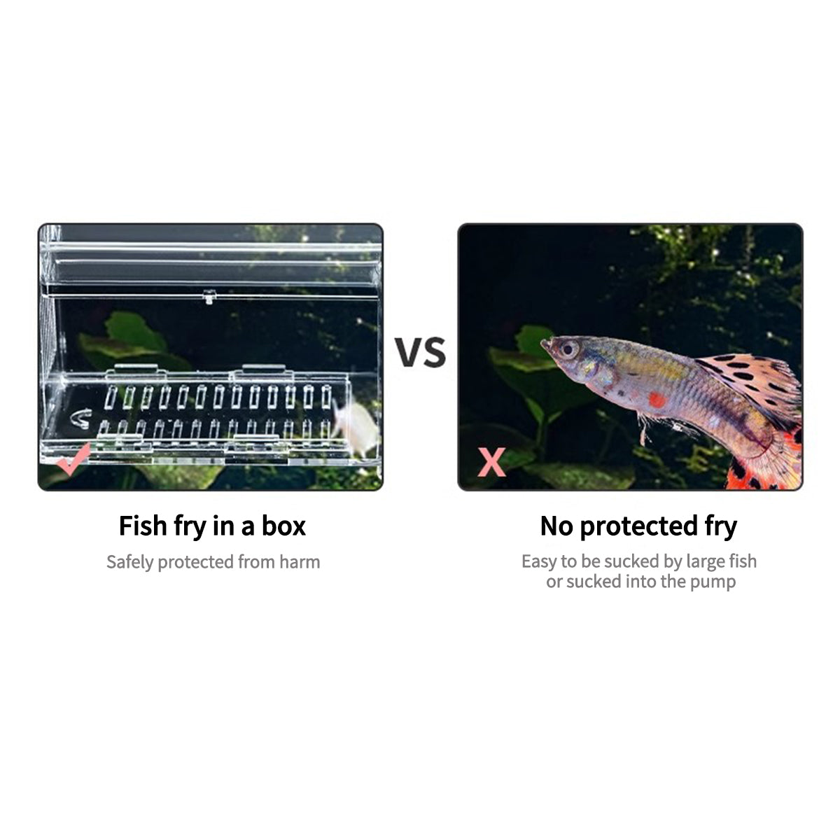 Fish Breeder Box for Fish Tank, Plastic Aquarium Breeder for Fry Fish, Guppy