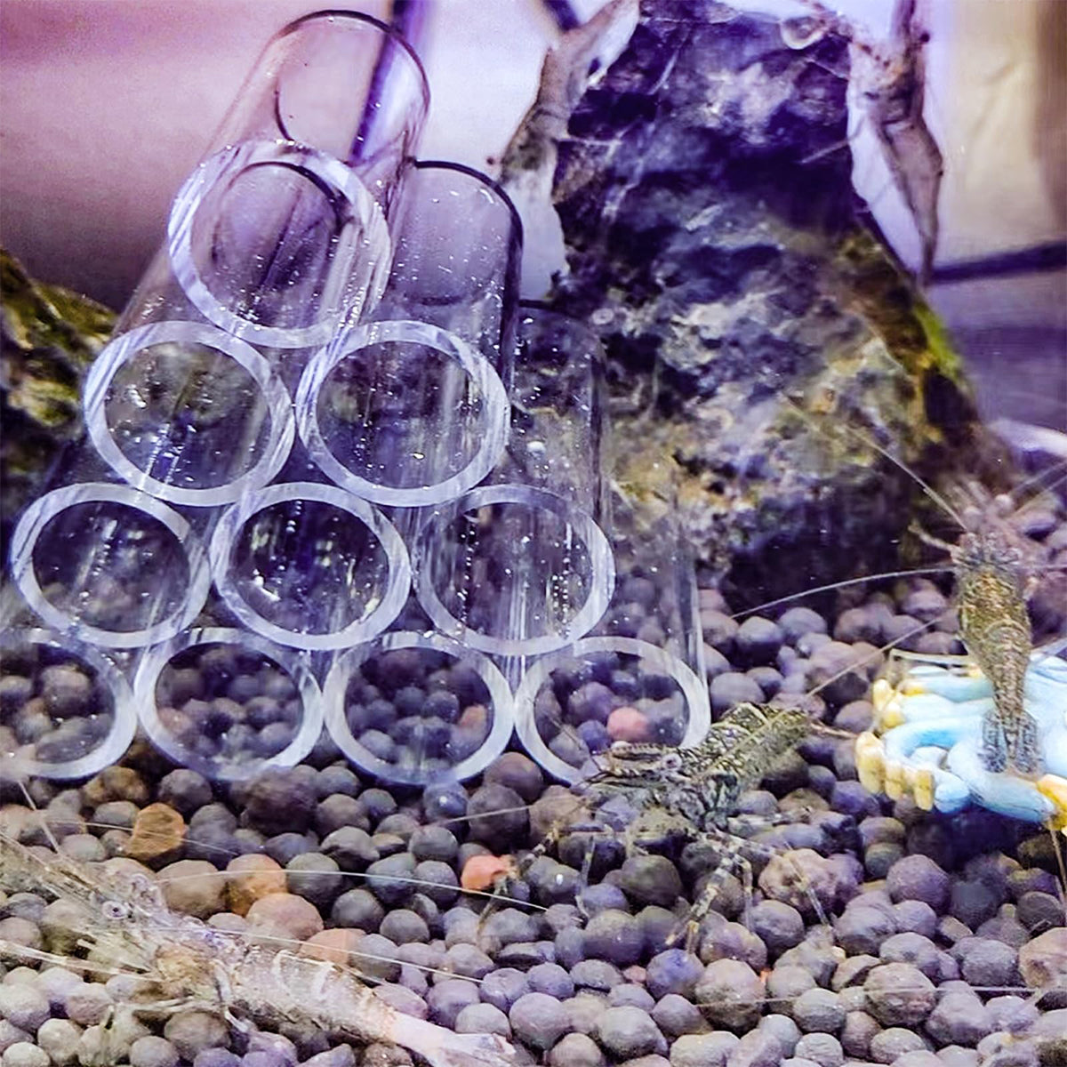 Aquatic Crystal Shrimp Hideaway - Acrylic Breeding Nest for Fish & Shrimp