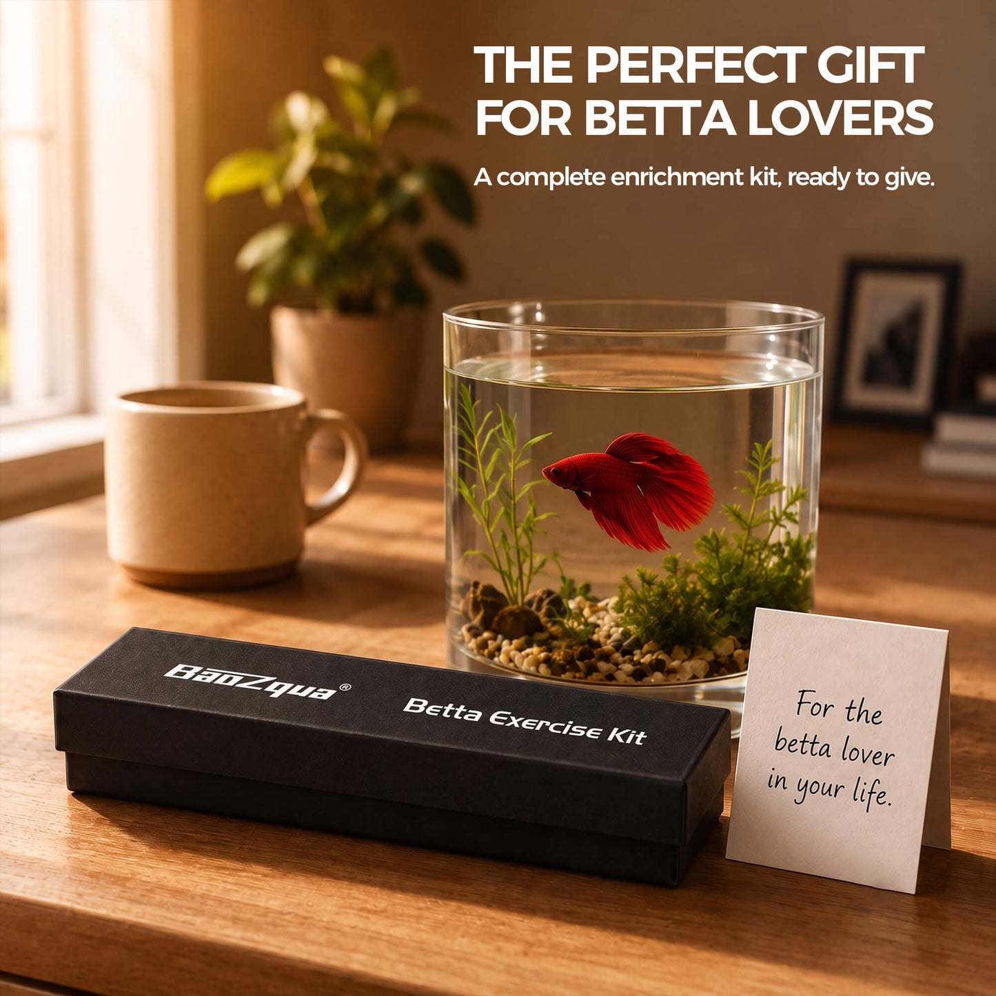BaoZqua Betta Exercise Kit, Betta Fish Toys, 2 Training Wands and Mirror