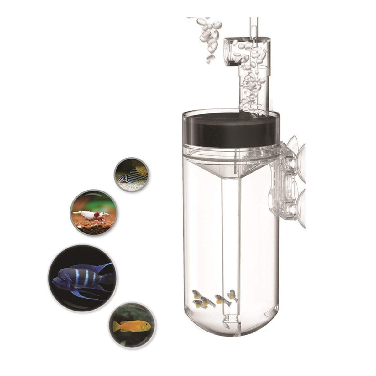 Aquarium Cichlids Fish Egg Incubator Tumbler Fish Hatchery Mouth-Brooding 60mm/2.36inch (Pump Not Included)
