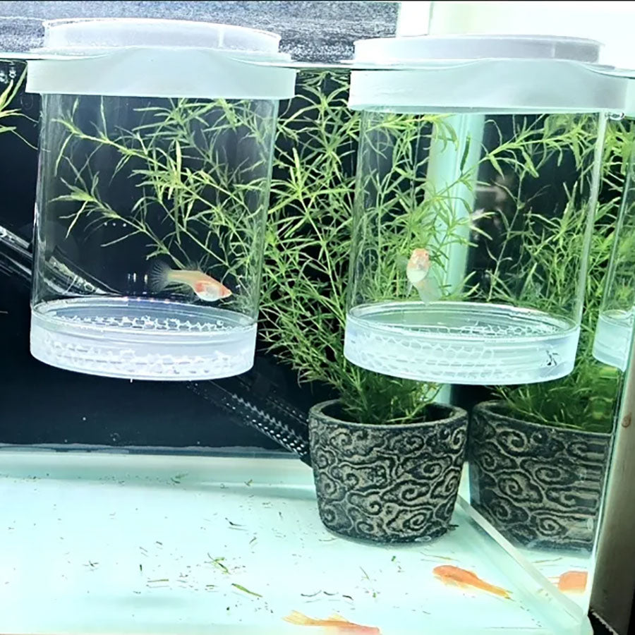 Fish Breeding Box for Aquarium,Hatchery Box for Fish Tank & Aquarium Accessories,Plastic Isolation Box for Guppy Betta Baby Fish