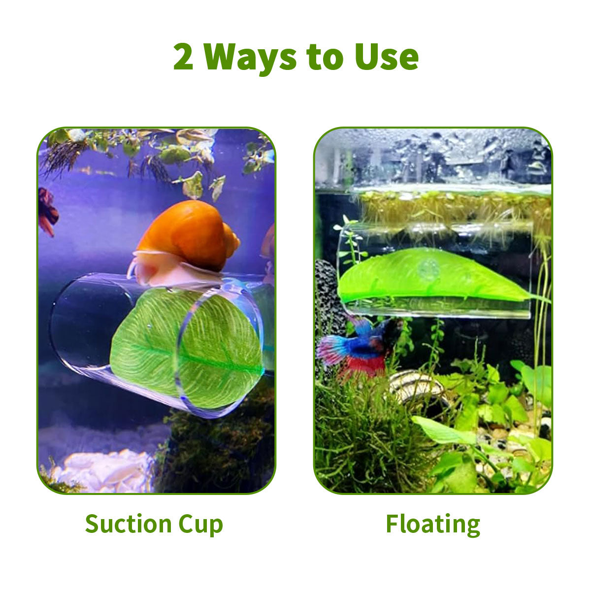 Aquarium Acrylic Tube Tunnel with Suction Cup and Floatation Rings, Betta Fish Hammock, Betta Fish Leaf Mat Breeding and Resting Bed Simulating the Natural Habitat of Betta Fish Spawning Grounds, Betta Fish Shelter, Eva Rings, Green