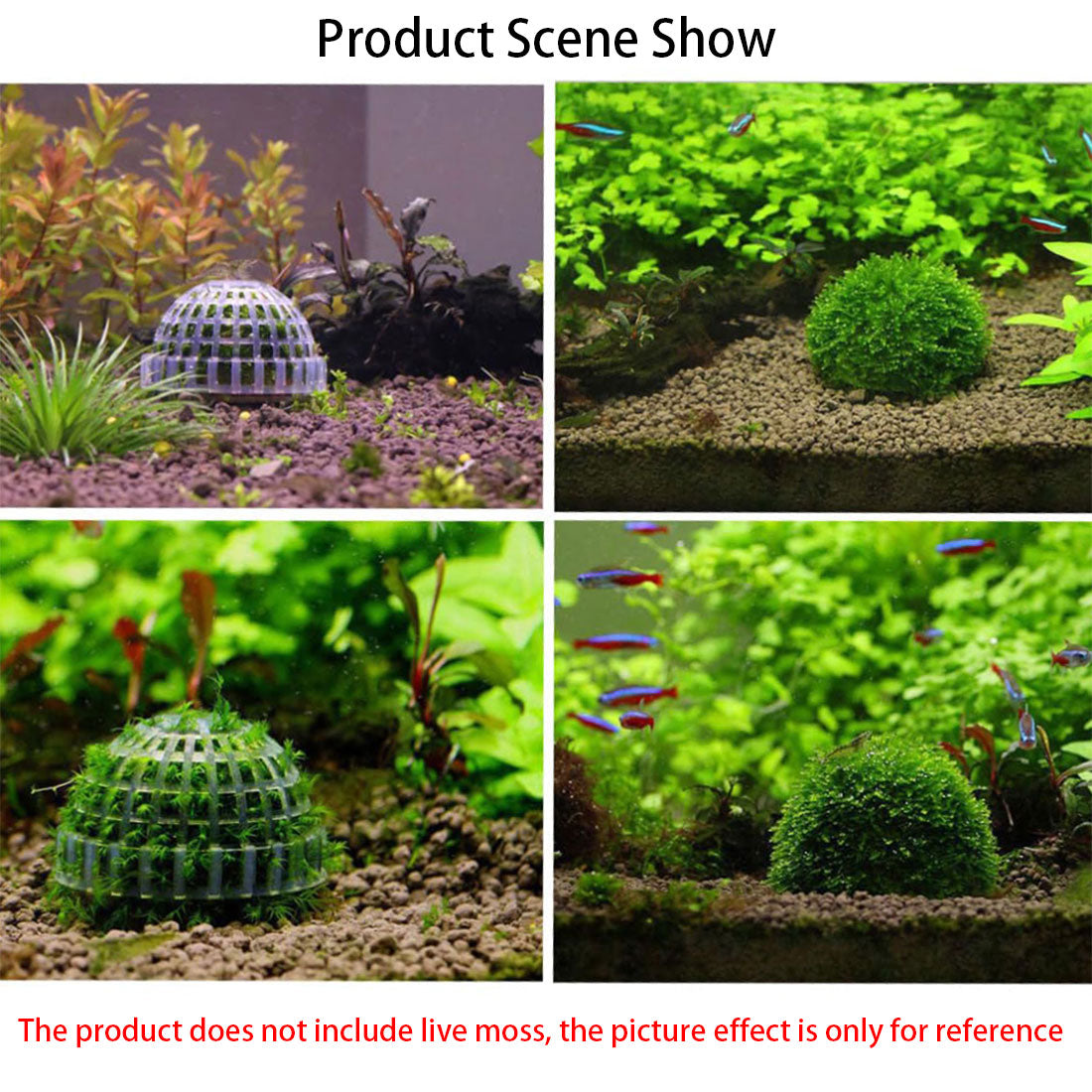 3 PCS Aquarium Moss Ball Holder Professional Aquarium Plant Holder Plastic Moss Ball Fish Tank Plant Holder with Filter Stone for Fish Tank Accessories