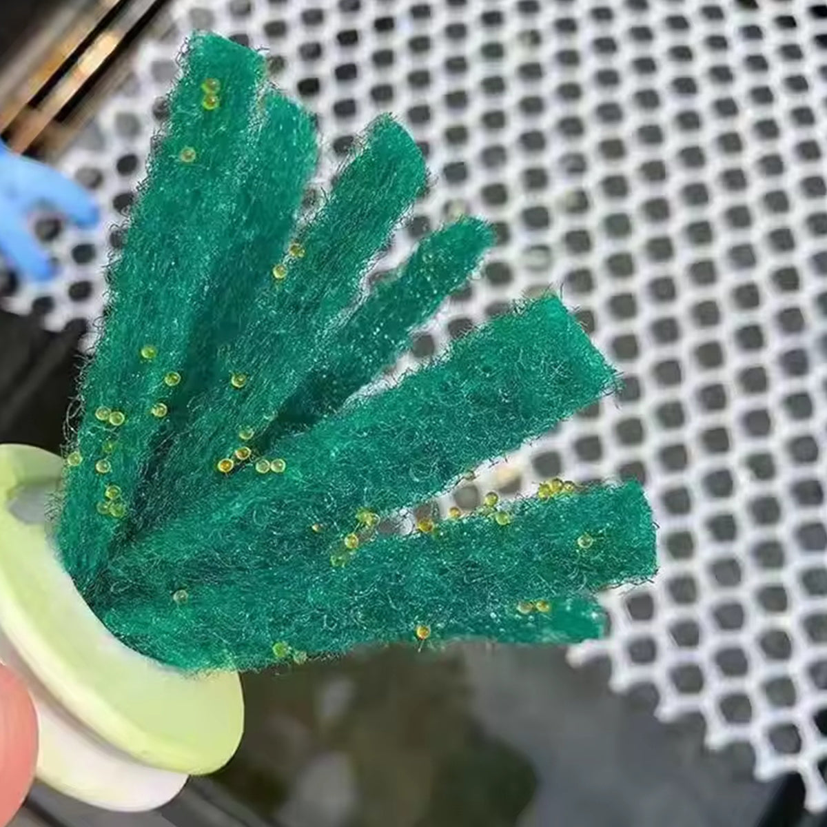 5/10PCS Spawning Mop, Floating Egg Collector for Medaka Breeding Spawning Fish and Fry Shelter, Ricefish Egg Collector