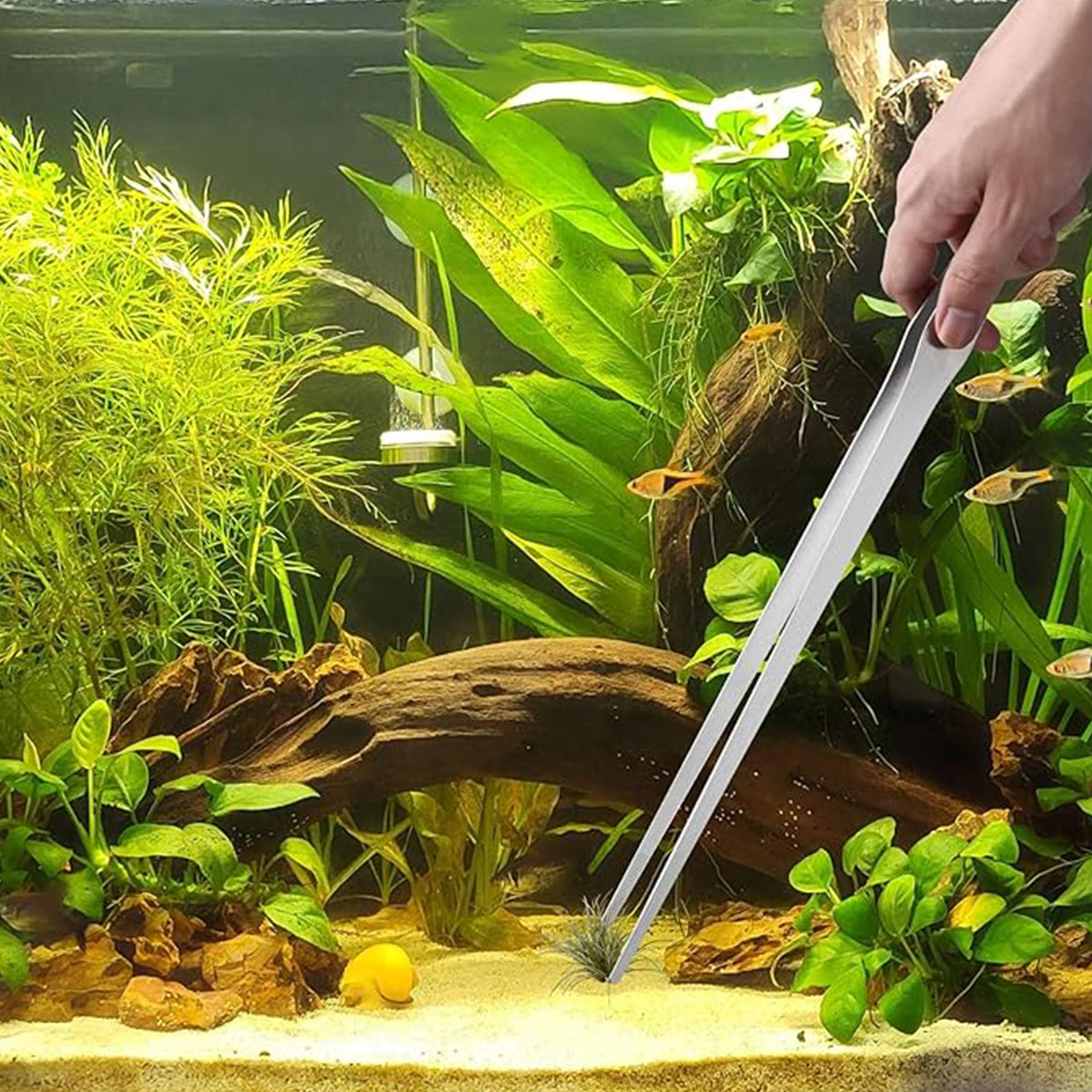 2-Pack 15 INCH Stainless Steel Long Tweezers, Curved and Straight Design with No Slip Grasp Tips Reptile Feeding Tongs, Aquascape Tools Snake Bearded Dragon Tank Accessories