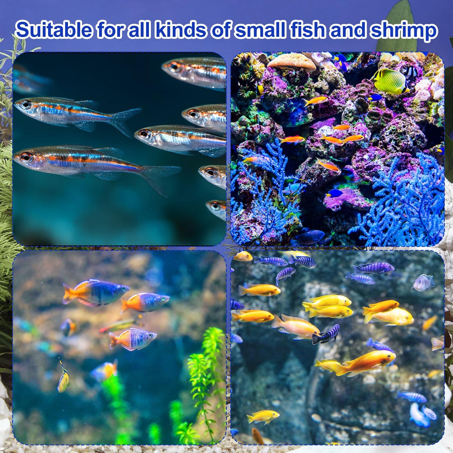 Fish Breeding Box for Aquarium,Hatchery Box for Fish Tank & Aquarium Accessories,Plastic Isolation Box for Guppy Betta Baby Fish