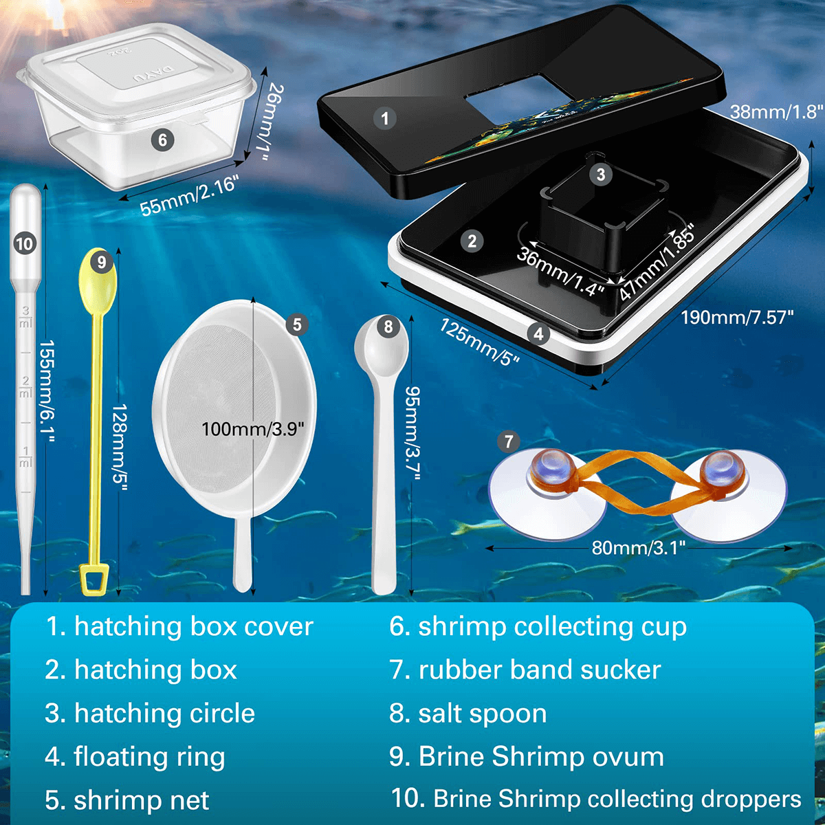 Floating Brine Shrimp Hatchery Tray - No Pump Needed Self-Collecting Kit with Net, Spoon & Dropper