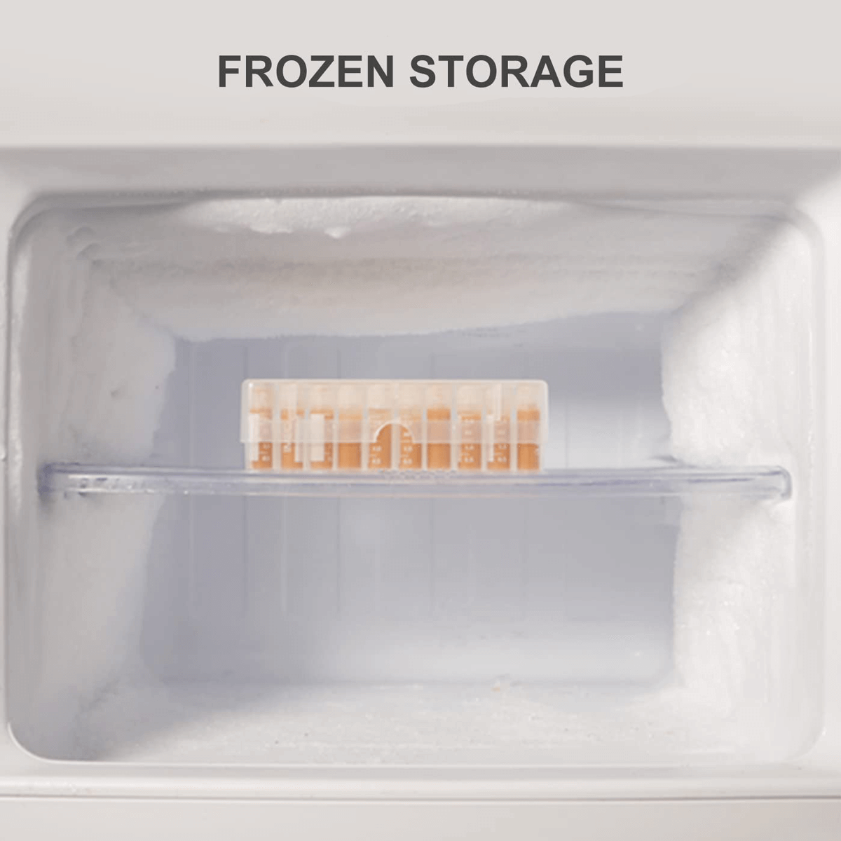 50pcs 1.8ml Brine Shrimp Collection Tubes with Clear Storage Box – For Brine Shrimp Hatchery, Freezing & Storing Baby Brine Shrimp