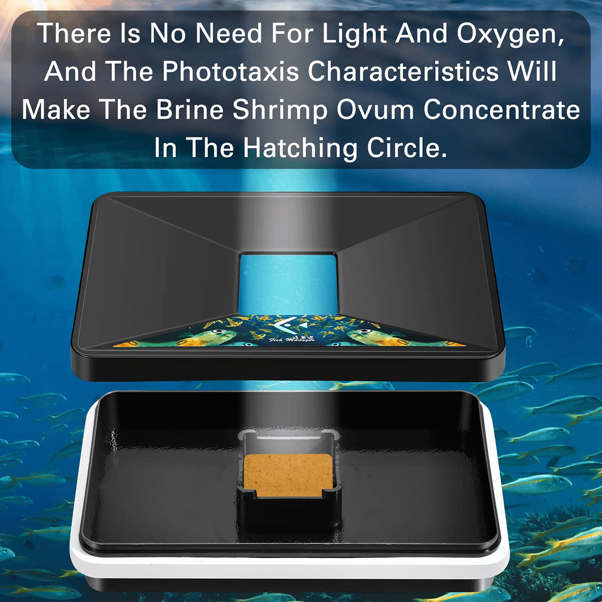 Floating Brine Shrimp Hatchery Tray - No Pump Needed Self-Collecting Kit with Net, Spoon & Dropper