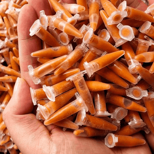 100/500pcs x 1.5ml Clear Conical Brine Shrimp Collection Tubes – for Brine Shrimp Hatchery, Freezing & Storage