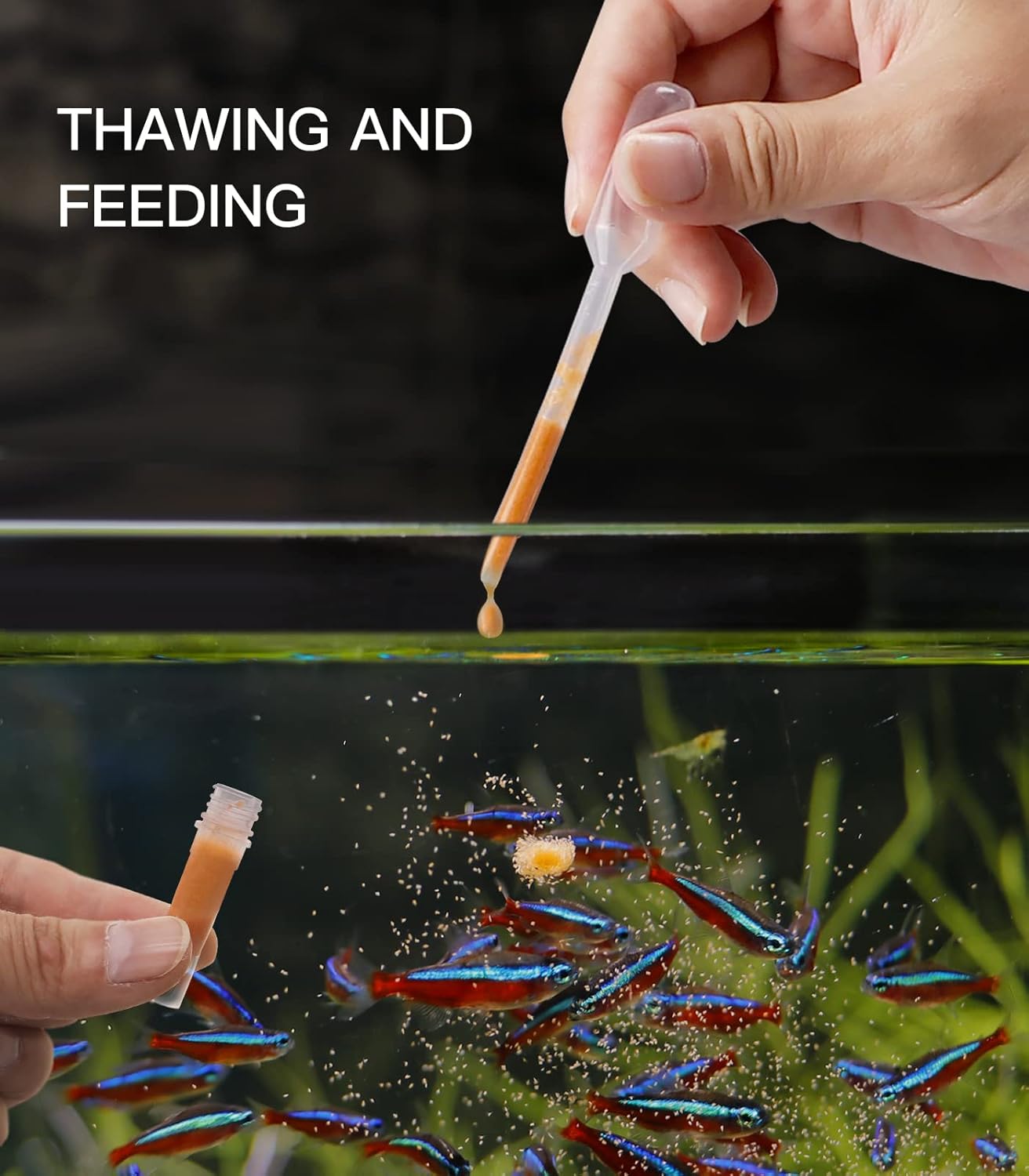 50/100Pcs x 5ml Brine Shrimp Collection Tubes with Caps – for Brine Shrimp Hatchery, Storage & Freezing Baby Brine Shrimp