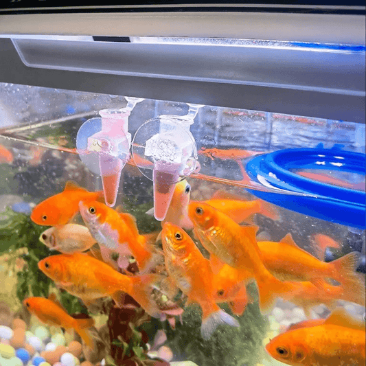 10PCS Shrimp Feeding Dish with Fish Feeding Tube – 2.36" Transparent Feeder for Shrimp Larvae, Freshwater & Saltwater Aquariums