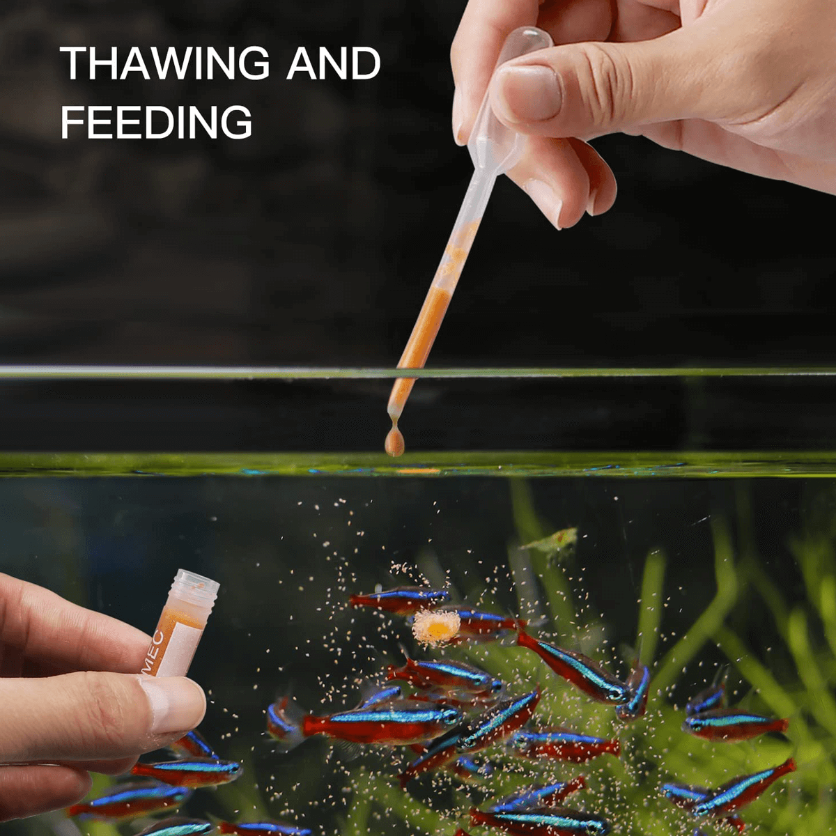 50pcs 1.8ml Brine Shrimp Collection Tubes with Clear Storage Box – For Brine Shrimp Hatchery, Freezing & Storing Baby Brine Shrimp