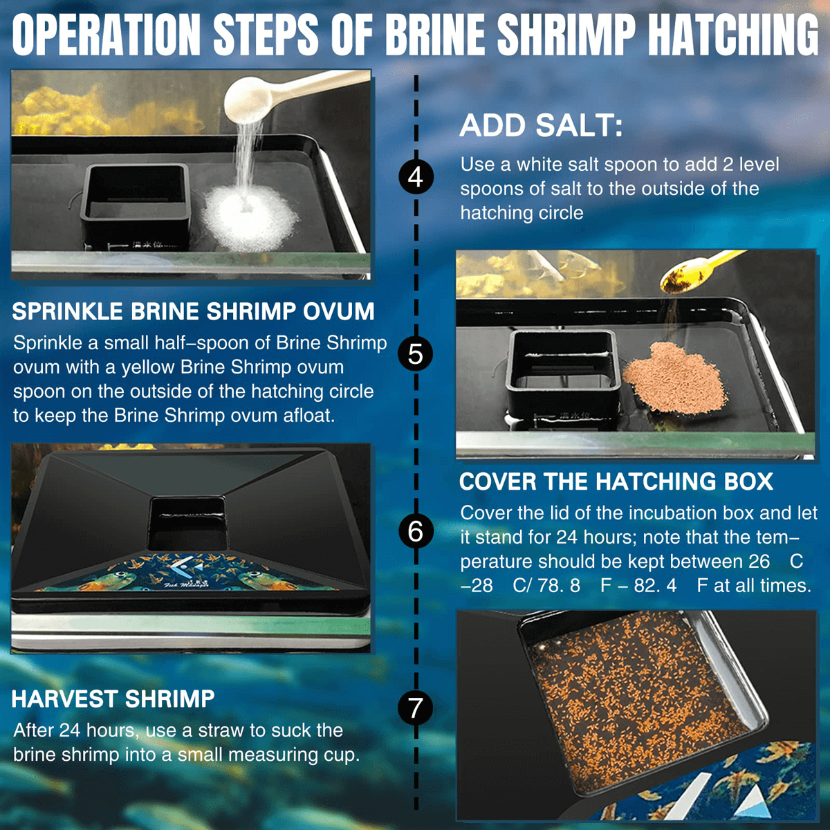 Floating Brine Shrimp Hatchery Tray - No Pump Needed Self-Collecting Kit with Net, Spoon & Dropper