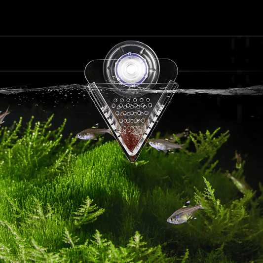 1/4PCS Acrylic V-Shape Live Food Feeder Cup with Suction Cup – For Red Worms, Large Baby Brine Shrimp, Bloodworms