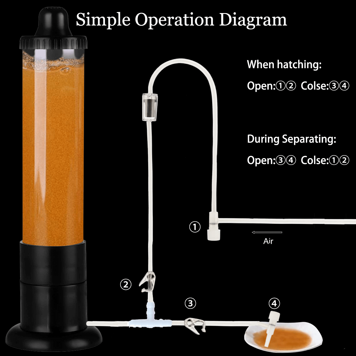 Upgraded 2.0 Brine Shrimp Hatchery Kit - Indoor/Outdoor Aquarium Artemia Incubator for Live Fish & Shrimp Food | Easy Hatching Tool
