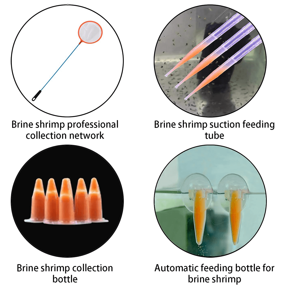 Upgraded 2.0 Brine Shrimp Hatchery Kit - Indoor/Outdoor Aquarium Artemia Incubator for Live Fish & Shrimp Food | Easy Hatching Tool