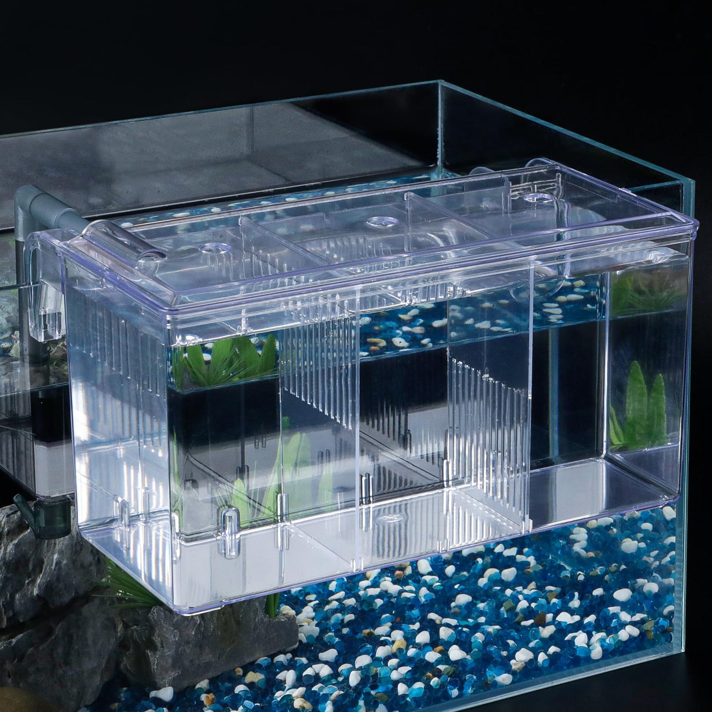 Acrylic Hang-On Breeding & Isolation Box — Fry/Shrimp Incubator & Refugium, Medium 2-Chamber (No Pump) / Large 3-Chamber (No Pump), Clear External Hatchery for Freshwater & Marine