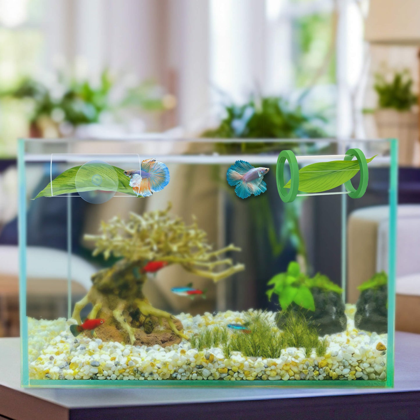 BaoZqua Betta Fish Hammock & Tunnel Hideout Bed Toy, Floating or Wall-Mounted Clear Acrylic Tube for Rest & Play, Betta Fish Tank Accessories with Suction Cup and Floating Ring for Aquarium Decoration