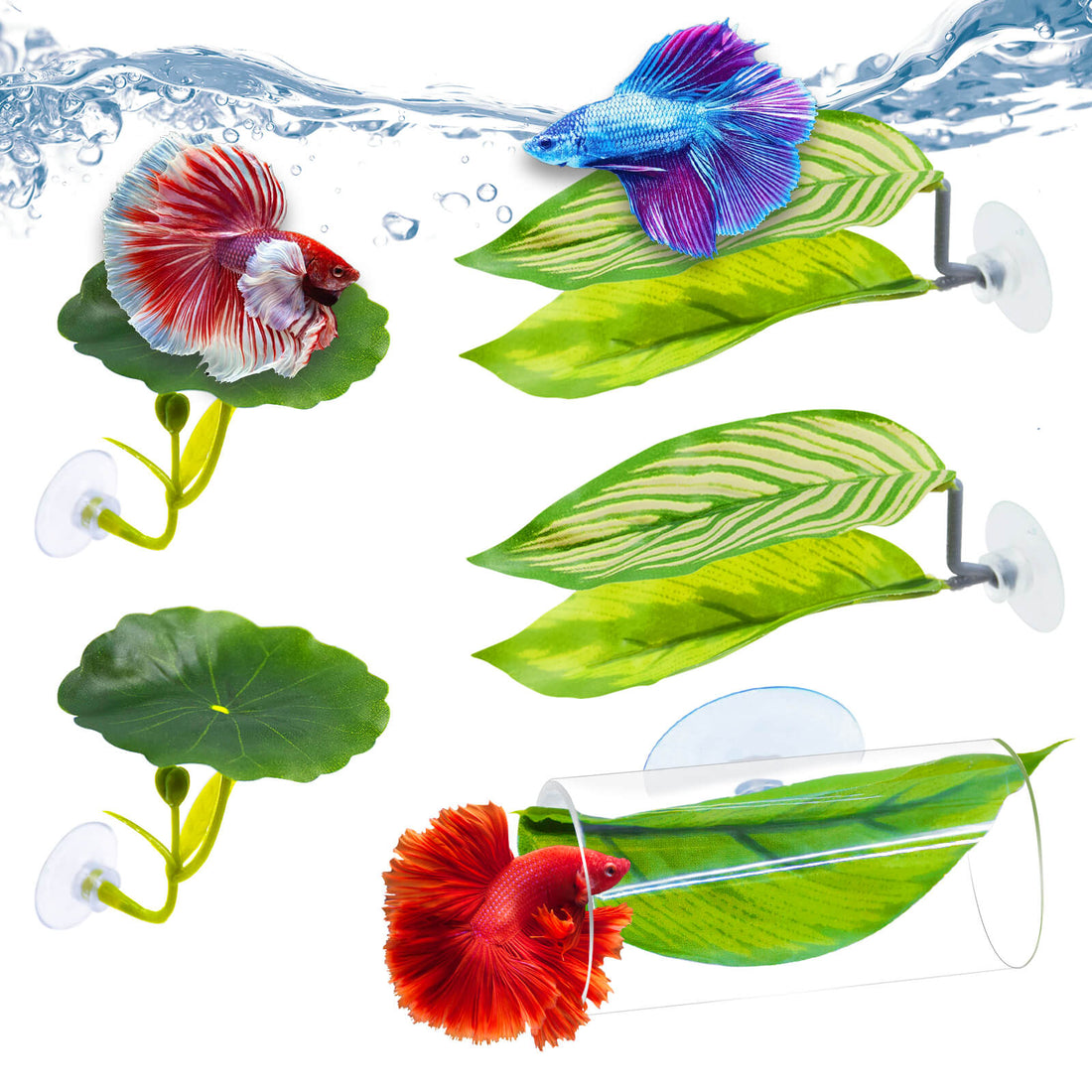 Betta fish resting on a soft plastic hammock leaf near the surface