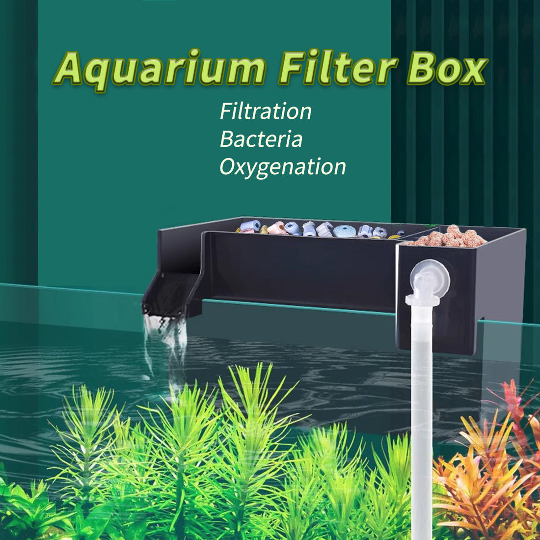 Wall-mounted drip box filter mounted on aquarium rim
