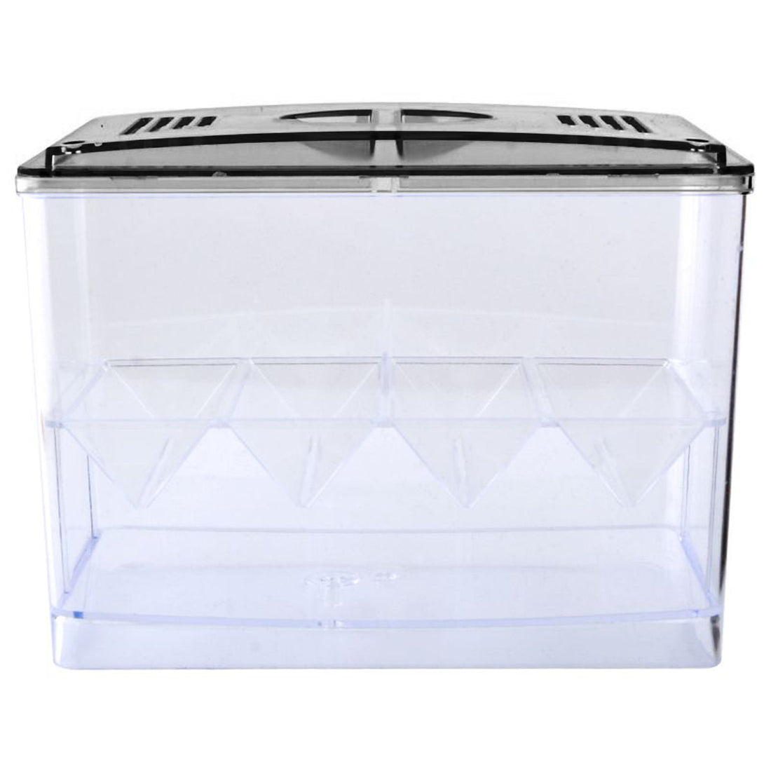 acryclic multi-chamber guppy breeding box with dual-level divider installed