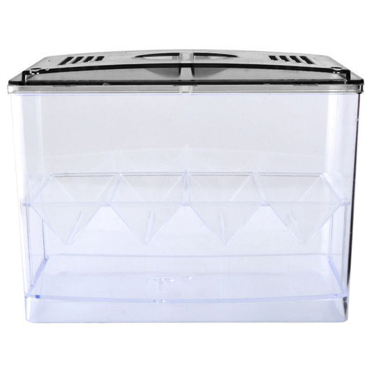 acryclic multi-chamber guppy breeding box with dual-level divider installed