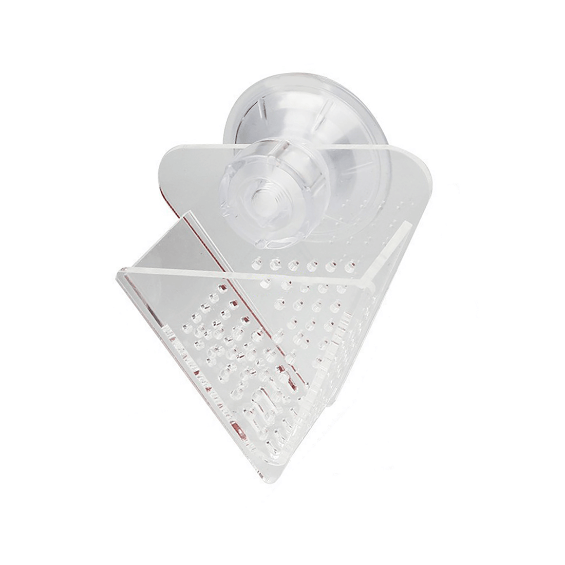 Guppy hovering near transparent feeder cup attached to aquarium glass