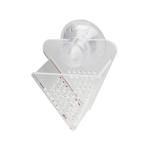 Guppy hovering near transparent feeder cup attached to aquarium glass