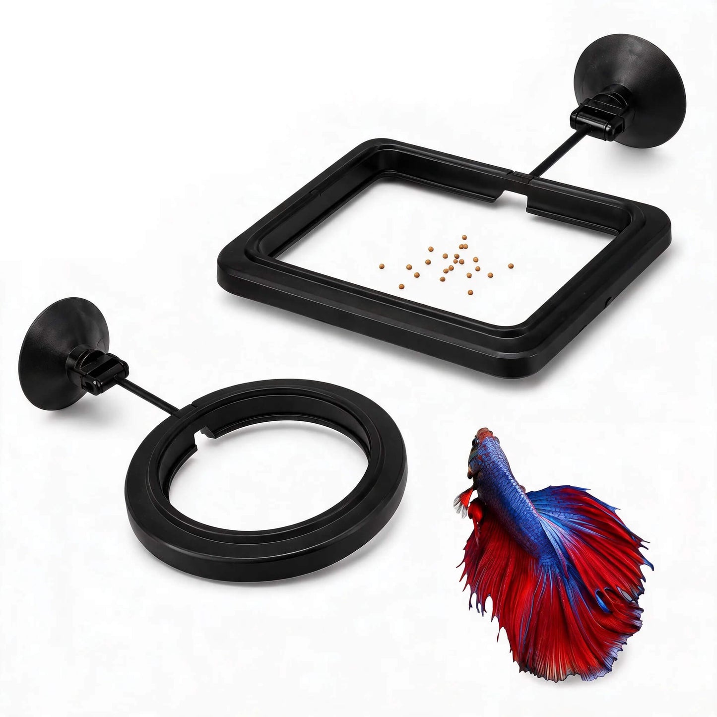 BaoZqua 2 Pack Betta Fish Feeding Ring, Floating Aquarium Fish Tank Feeder
