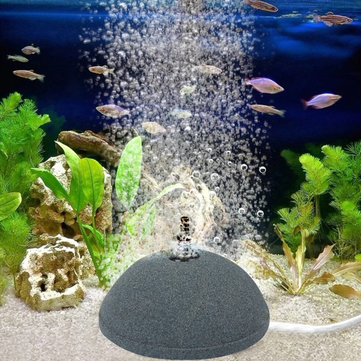 Aquarium Bubble Disk for Fish Tank, High-Temperature Sintered Oxygenator, Easy to Clean