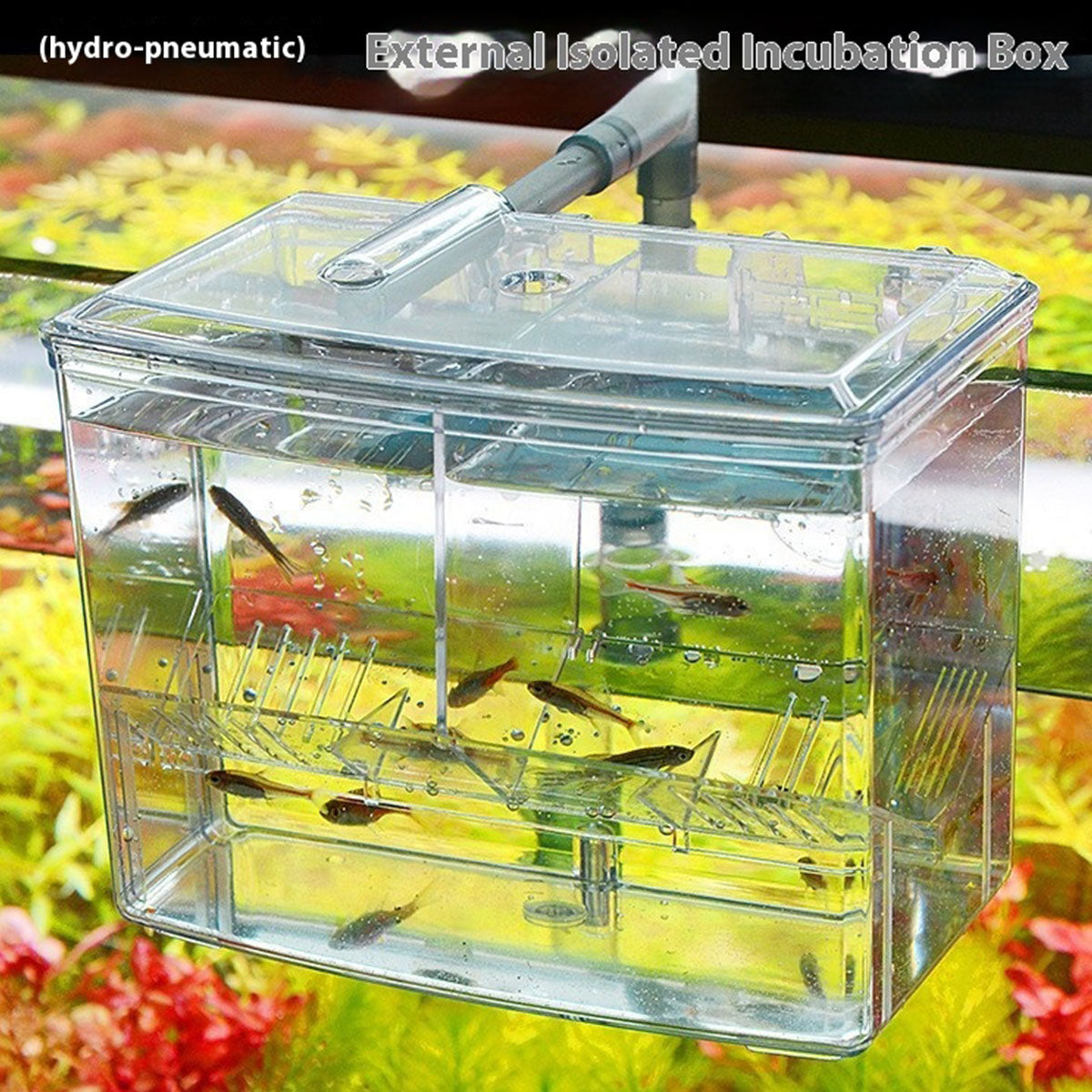 Acrylic Hang-On Breeding & Isolation Box — Fry/Shrimp Incubator & Refugium, Medium 2-Chamber (No Pump) / Large 3-Chamber (No Pump), Clear External Hatchery for Freshwater & Marine