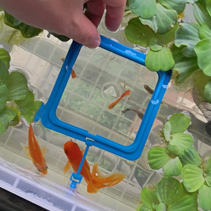 Floating Fish Food Feeder Ring - Aquarium Feeding Tool with Strong Suction Cup, Prevents Food Dispersion for Tropical Fish, Shrimp & Fry