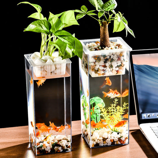 Crystal-Clear Plastic Fish Tank, Cylindrical or Rectangular Desktop Fish Tank & Hydroponic Planter, High-Transparency Display for Aquatic Plants, Fresh/Dried Flowers, Home & Office Décor