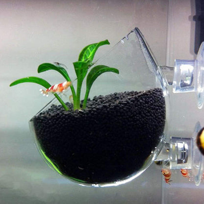 3PCS Aquarium Red Worm Fish Feeder, Transparent Suction Cup Fishes Feeding Cup Food Container for Feeding Shrimp Fish, for Aquarium or Small Fish, Turtle Aquarium(Acrylic  Hole Cup)