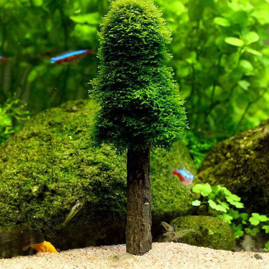 Aquarium Moss Decoration Aquarium Moss Ornament Fish Tank Landscape Grow Aquatic