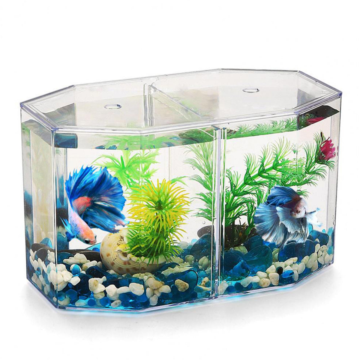 Aquarium Fish Breeder for Betta Small Aquarium Fish, Double-Compartment High-Permeability Isolation Multipurpose Box, Compartment Box Isolation Room for Guppies Mixed Breed