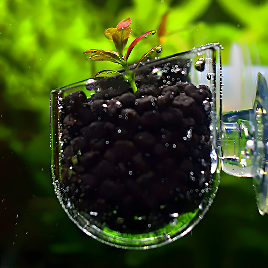 3PCS Aquarium Red Worm Fish Feeder, Transparent Suction Cup Fishes Feeding Cup Food Container for Feeding Shrimp Fish, for Aquarium or Small Fish, Turtle Aquarium(Acrylic  Hole Cup)