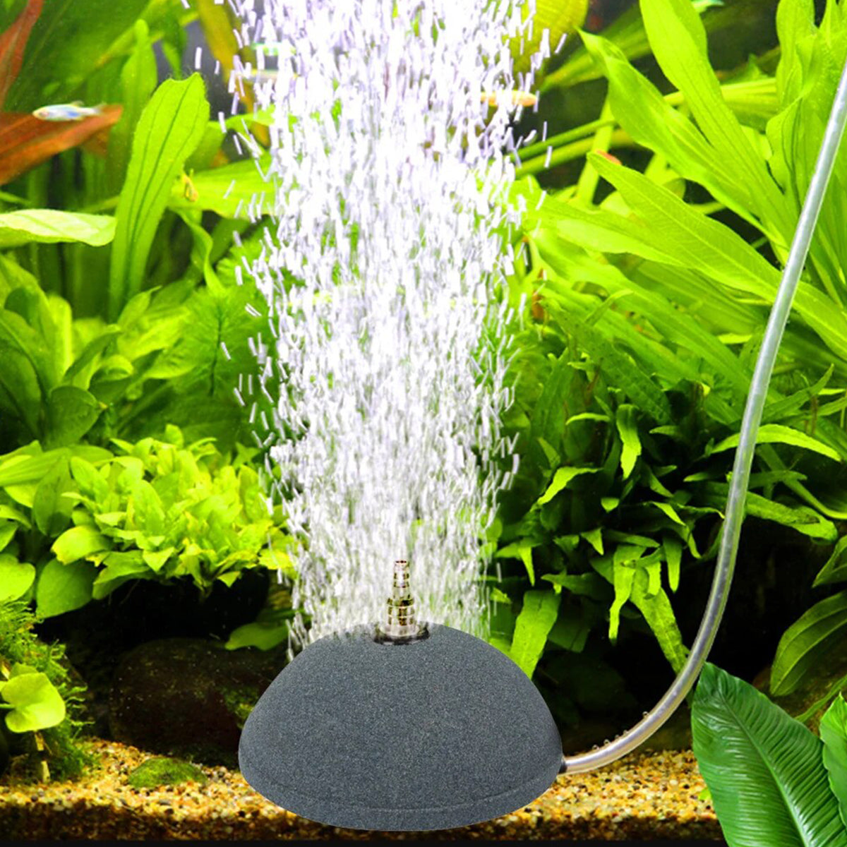 Aquarium Bubble Disk for Fish Tank, High-Temperature Sintered Oxygenator, Easy to Clean