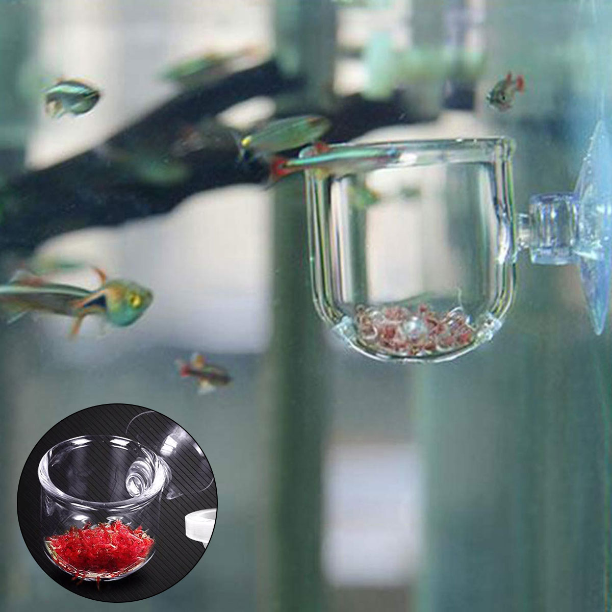 3PCS Aquarium Red Worm Fish Feeder, Transparent Suction Cup Fishes Feeding Cup Food Container for Feeding Shrimp Fish, for Aquarium or Small Fish, Turtle Aquarium(Acrylic  Hole Cup)