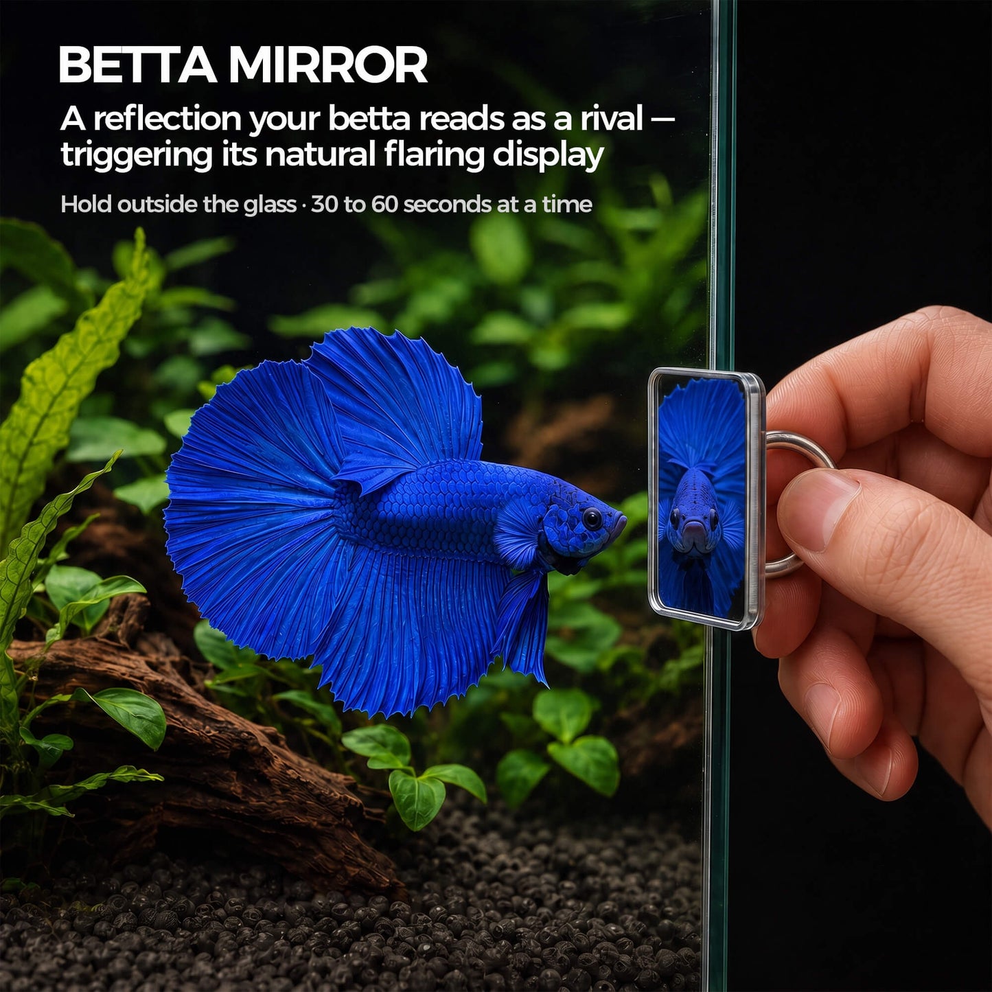 BaoZqua Betta Exercise Kit, Betta Fish Toys, 2 Training Wands and Mirror